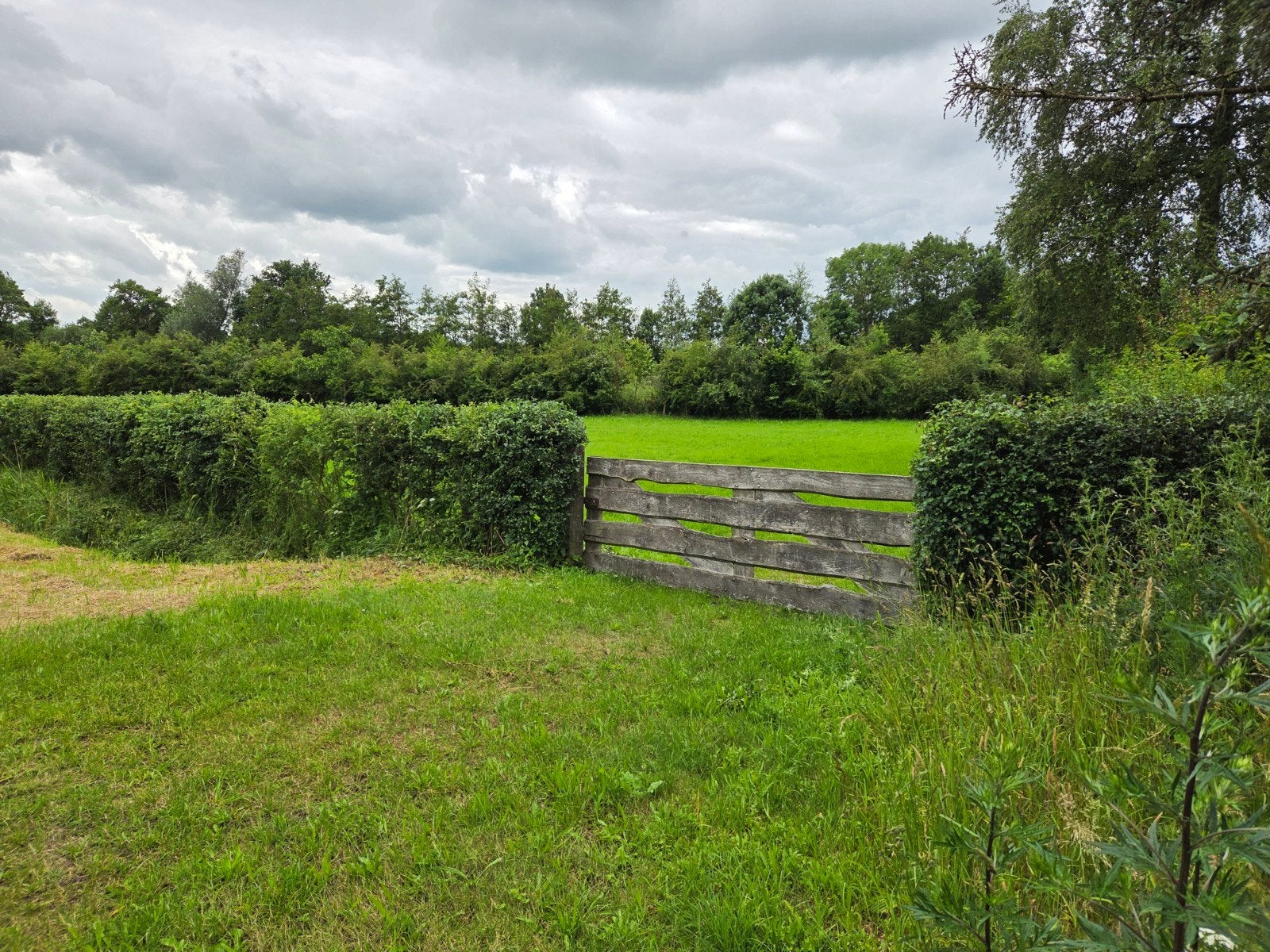 Eiken landhek met betonnen staanders en hang- en sluitwerk, Ophalen, Met poort, Gebruikt, Tuinhek