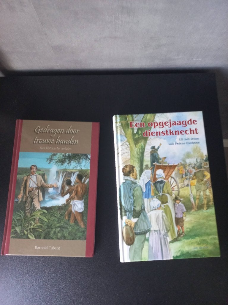 Boeken, Ophalen of Verzenden, Zo goed als nieuw, Christendom | Protestants