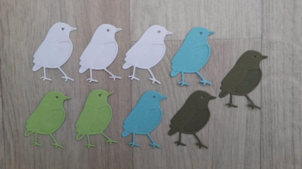 Set stansjes (Vogels), Hobby en Vrije tijd, Kaarten | Zelf maken, Ophalen of Verzenden, Nieuw, Dieren, Overige typen