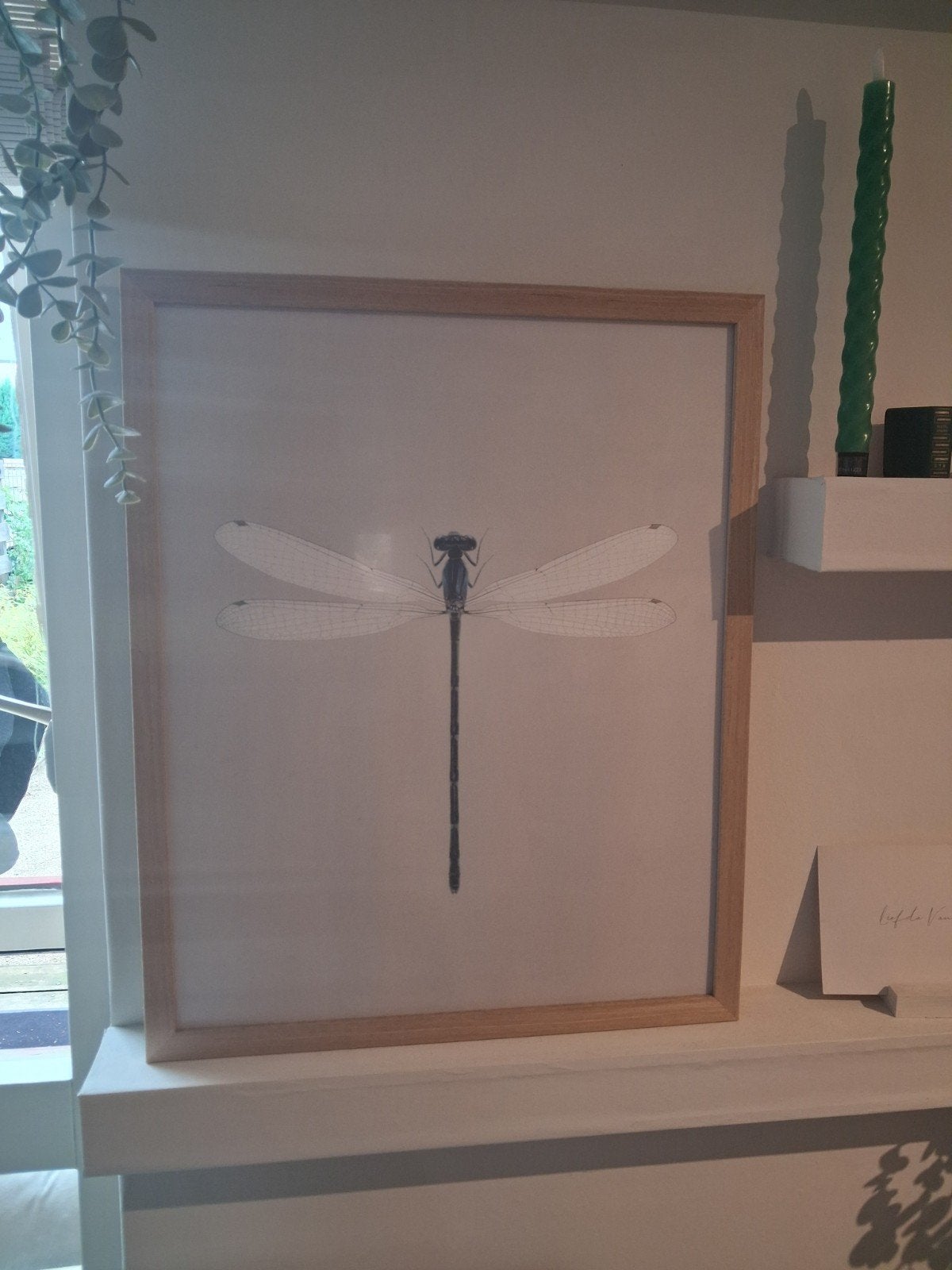 dragonfly poster met lijst, Ophalen of Verzenden