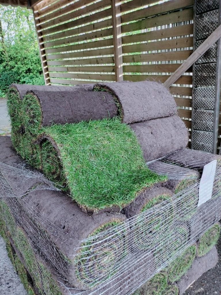 graszoden, Tuin en Terras, Gras en Kunstgras, Ophalen, Nieuw, 20 m² of meer, Gras