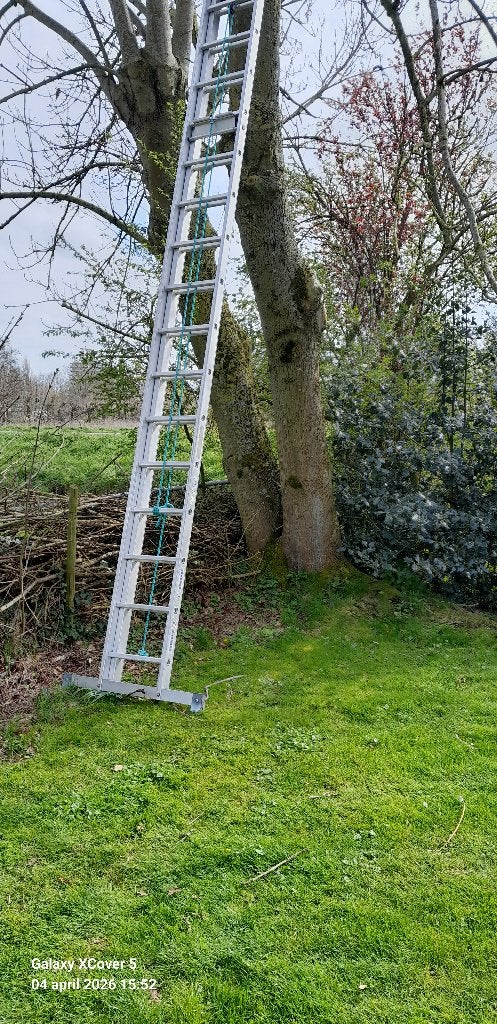Ladder huren, Ophalen, Zo goed als nieuw, Ladder, Opvouwbaar of Inschuifbaar
