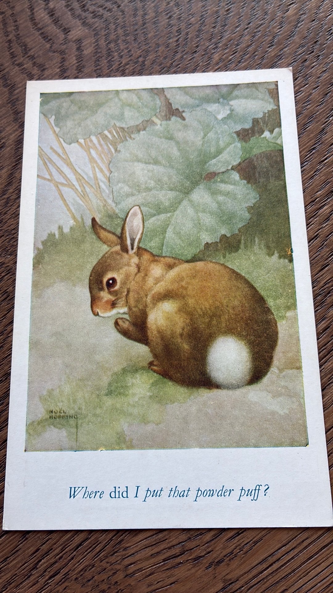 Konijn/muis.2x. Waar is mijn poederdons/Ja of nee? Hopkin, Ophalen of Verzenden, 1980 tot heden, Ongelopen, Overige thema's