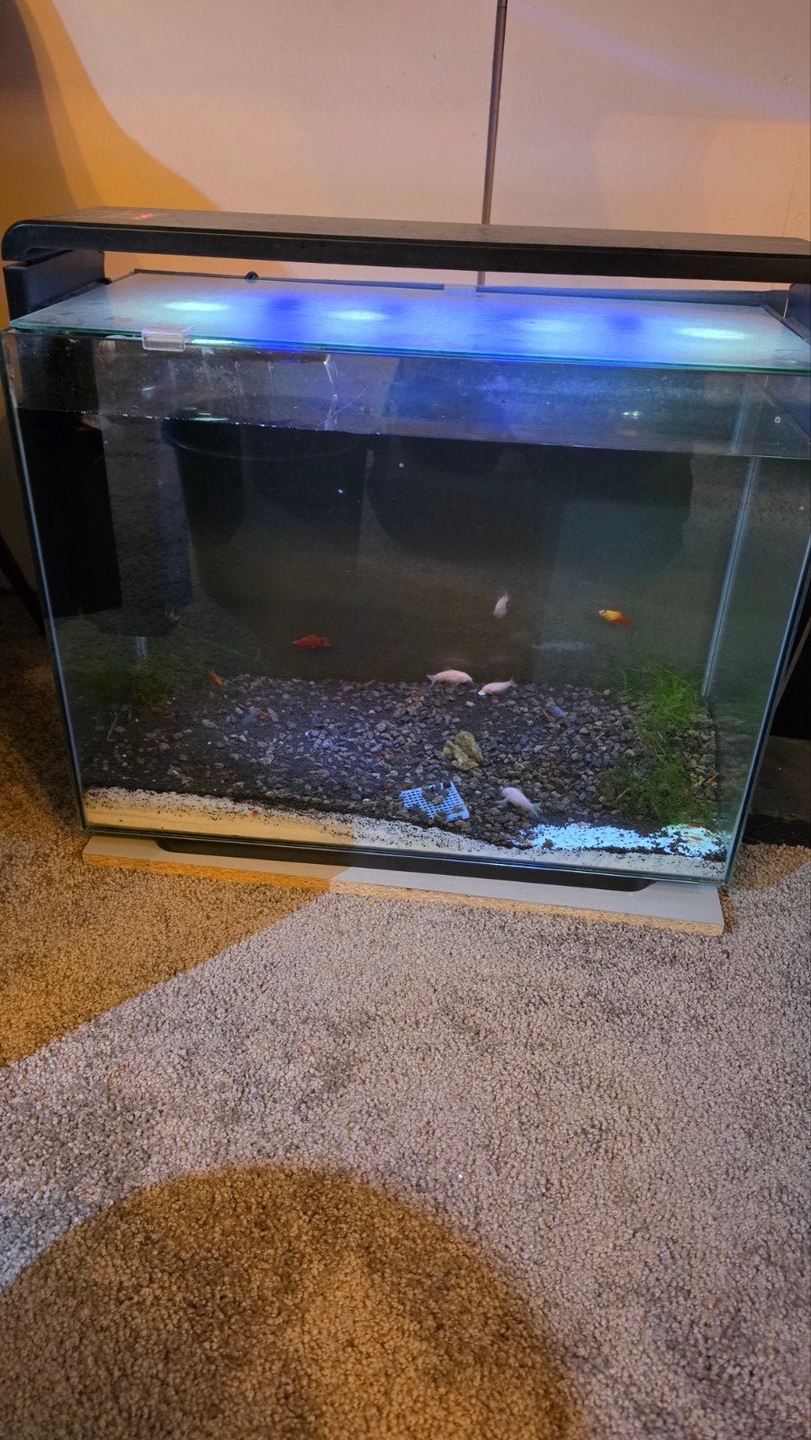 superfish home 80 compleet, Ophalen
