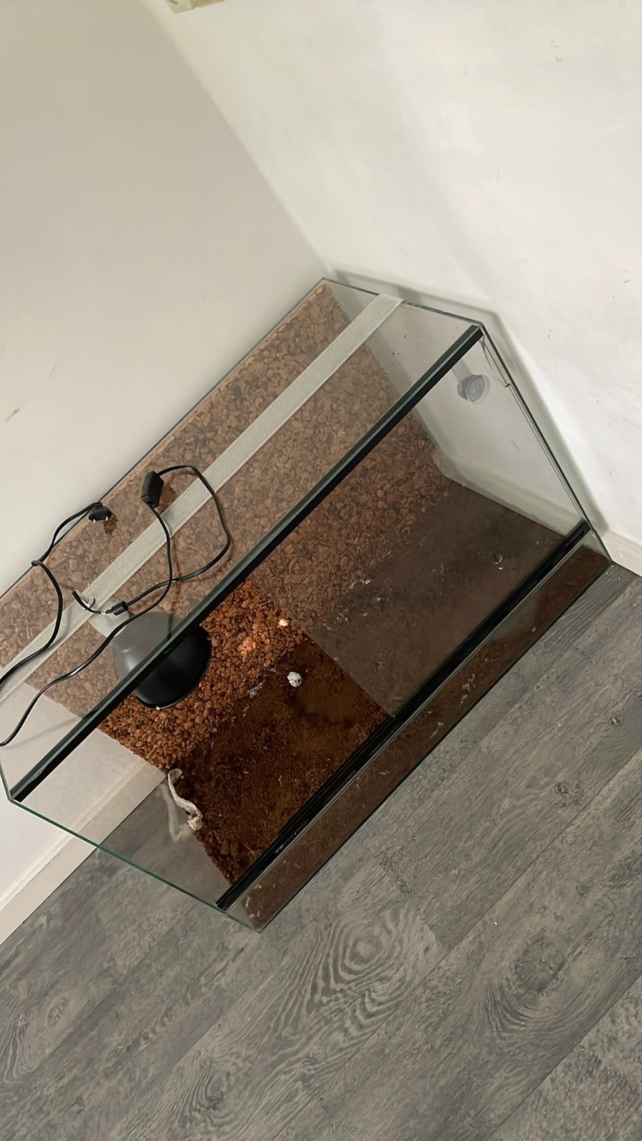Terrarium 80x40x50, Ophalen, Gebruikt, Terrarium of Paludarium