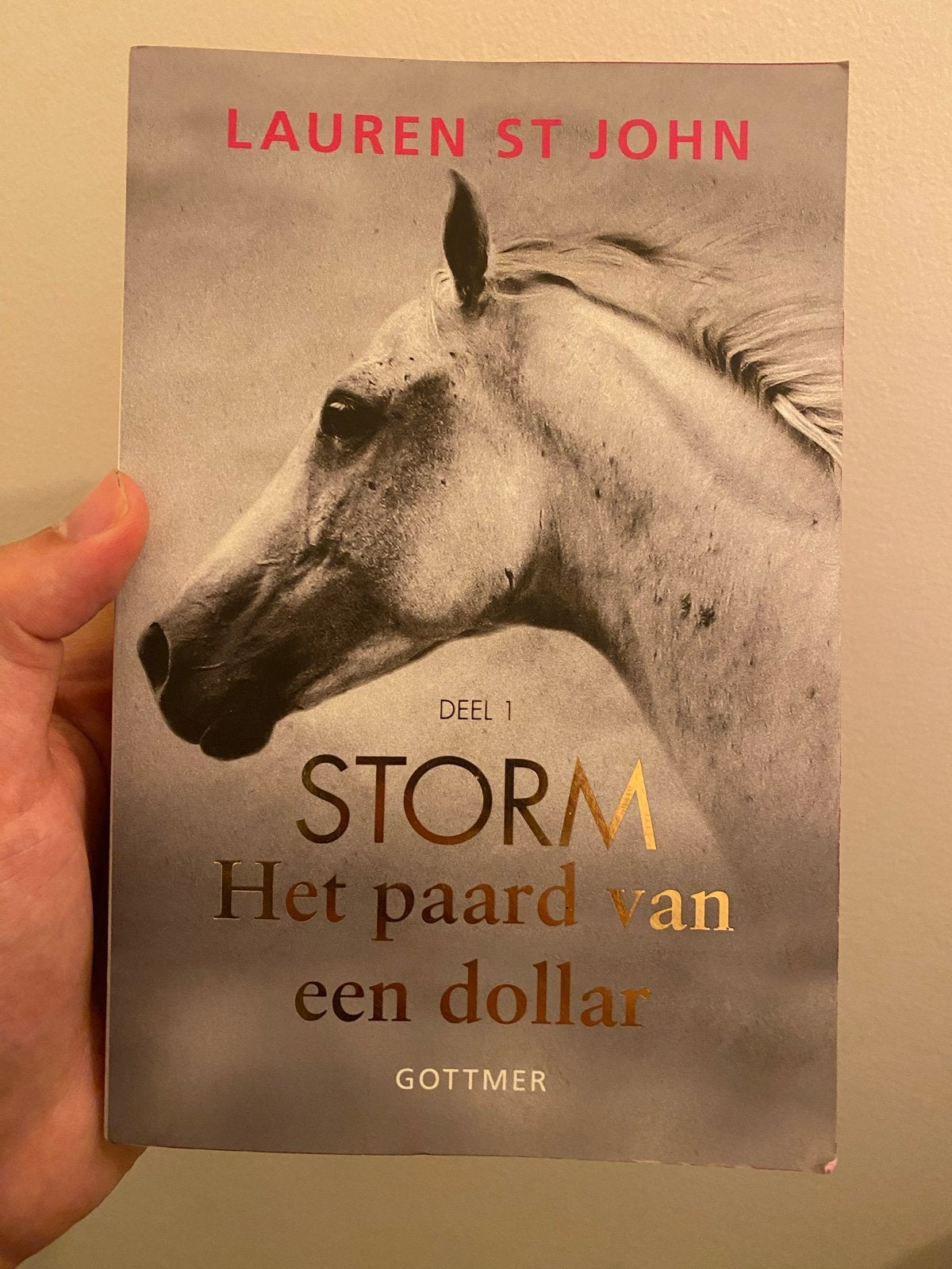 Storm: Het paard van een dollar - Deel 1, Ophalen of Verzenden, Zo goed als nieuw, Fictie