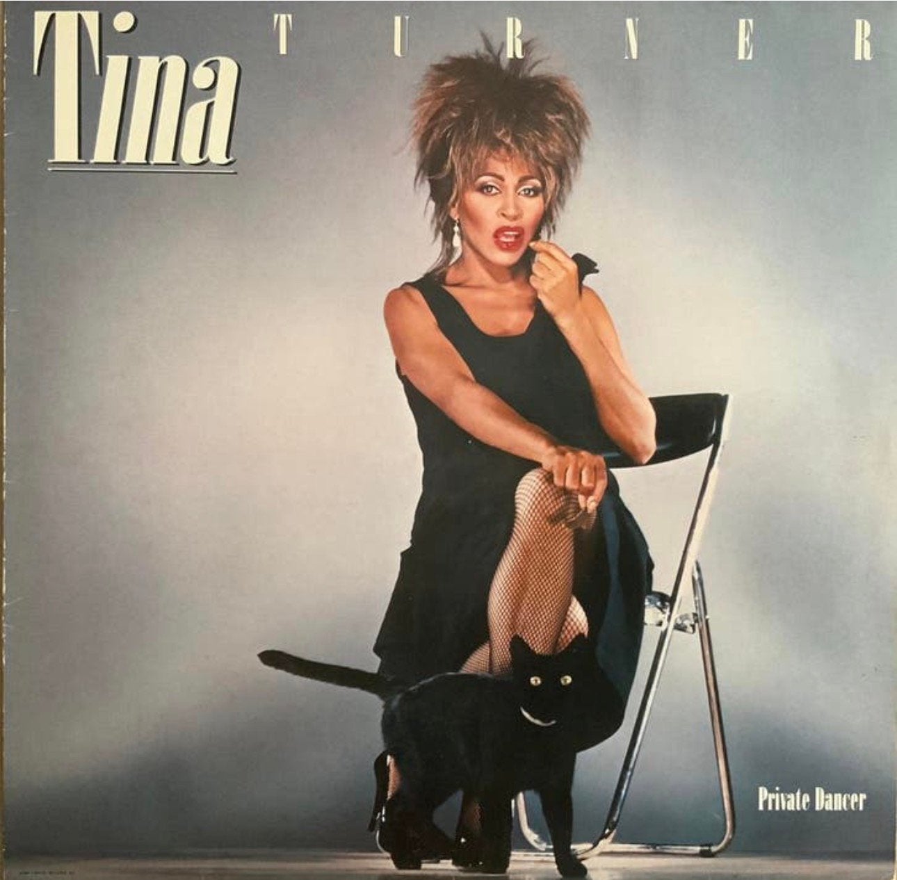 Vinyl Tina Turner - Private Dancer, Verzenden, Gebruikt