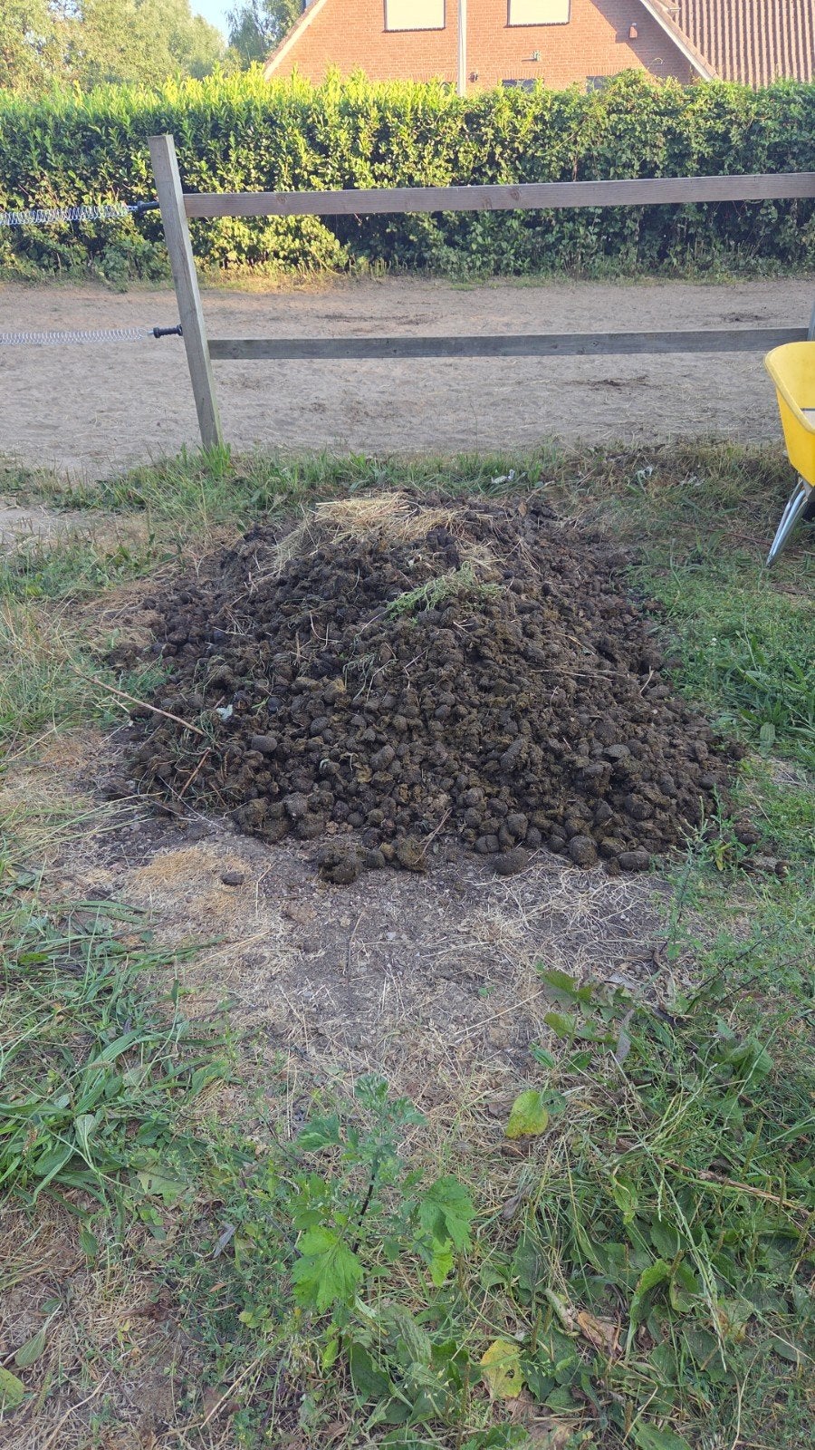 Gratis paardenmest in Doetinchem, Ophalen, Mest