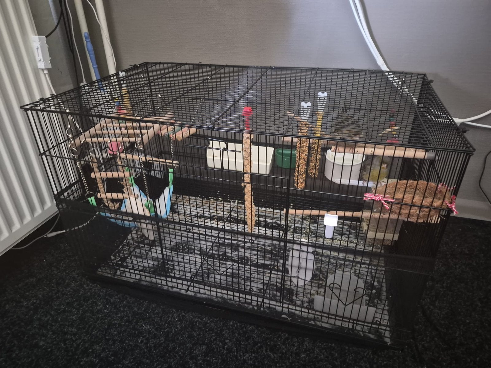 Vogel kooi met toebehoren, Ophalen, Zo goed als nieuw, Metaal, Vogelkooi