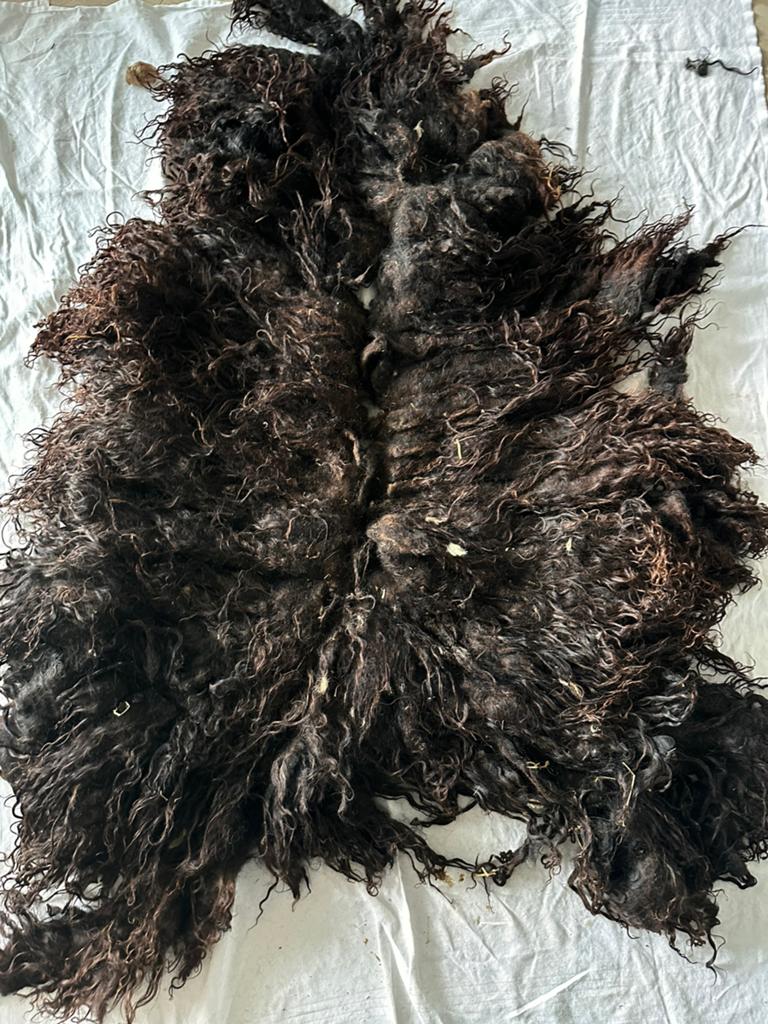 Racka schapenvacht wol vacht vilten, Hobby en Vrije tijd, Verzenden, Nieuw, Los Vilt