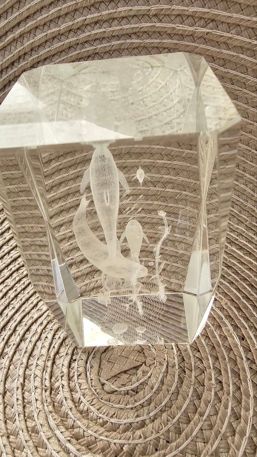 Kristallen dolfijnen beeldje met 3D laser gravure, Antiek en Kunst, Antiek | Glas en Kristal, Ophalen of Verzenden