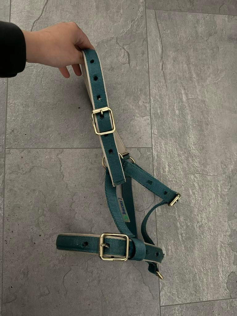 Halster shetlander, Ophalen of Verzenden, Zo goed als nieuw, Overige soorten