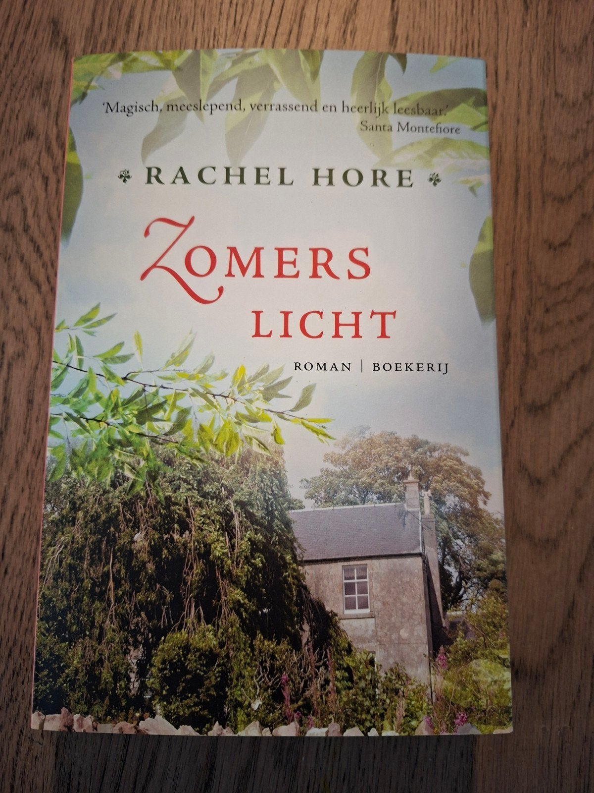 Rachel Hore - Zomers licht, Ophalen of Verzenden, Zo goed als nieuw, Rachel Hore