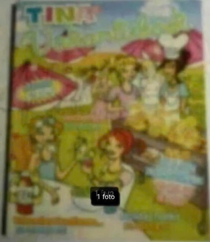Tina vakantieboek met 96 pagina's strips verhalen,spellen et, Eén stripboek, Ophalen of Verzenden, Gelezen