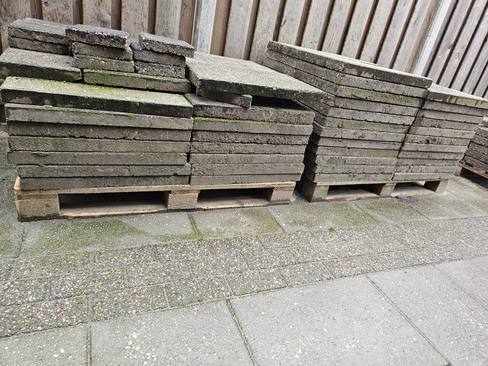 95 hele tegels 60x40 gratis af te halen, Ophalen, Gebruikt, 10 m² of meer, Beton