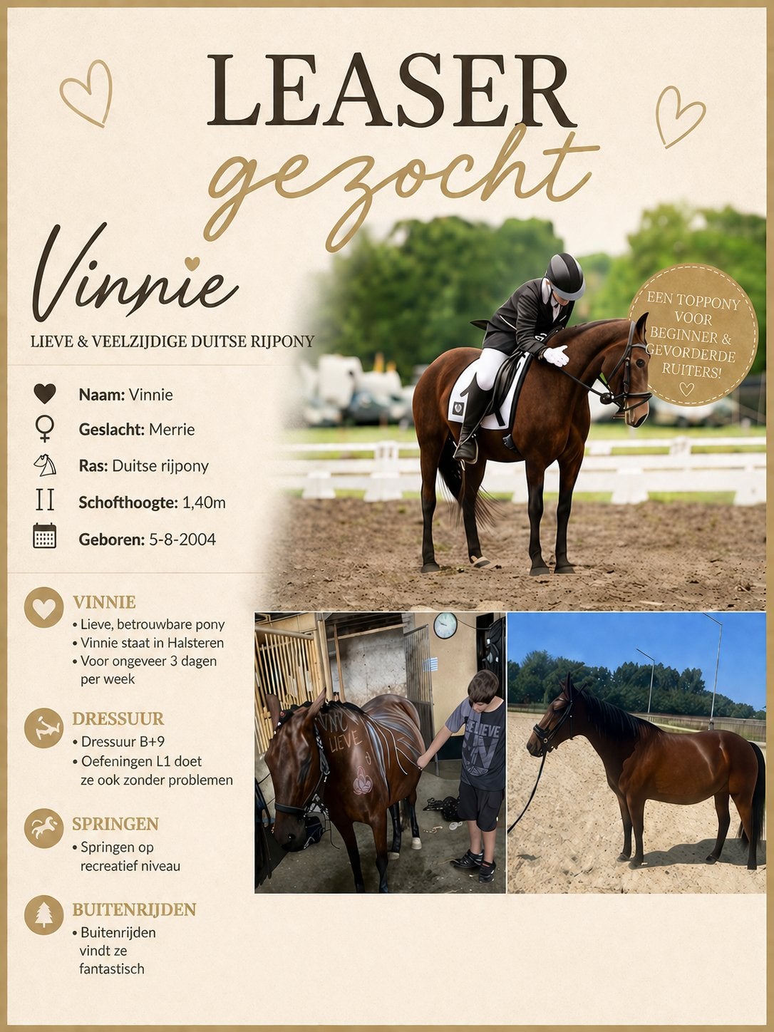 Bijrijder/leaser gezocht, Diensten en Vakmensen, Dieren | Paarden | Verzorging, Oppas en Les, Ruiter of Bijrijder