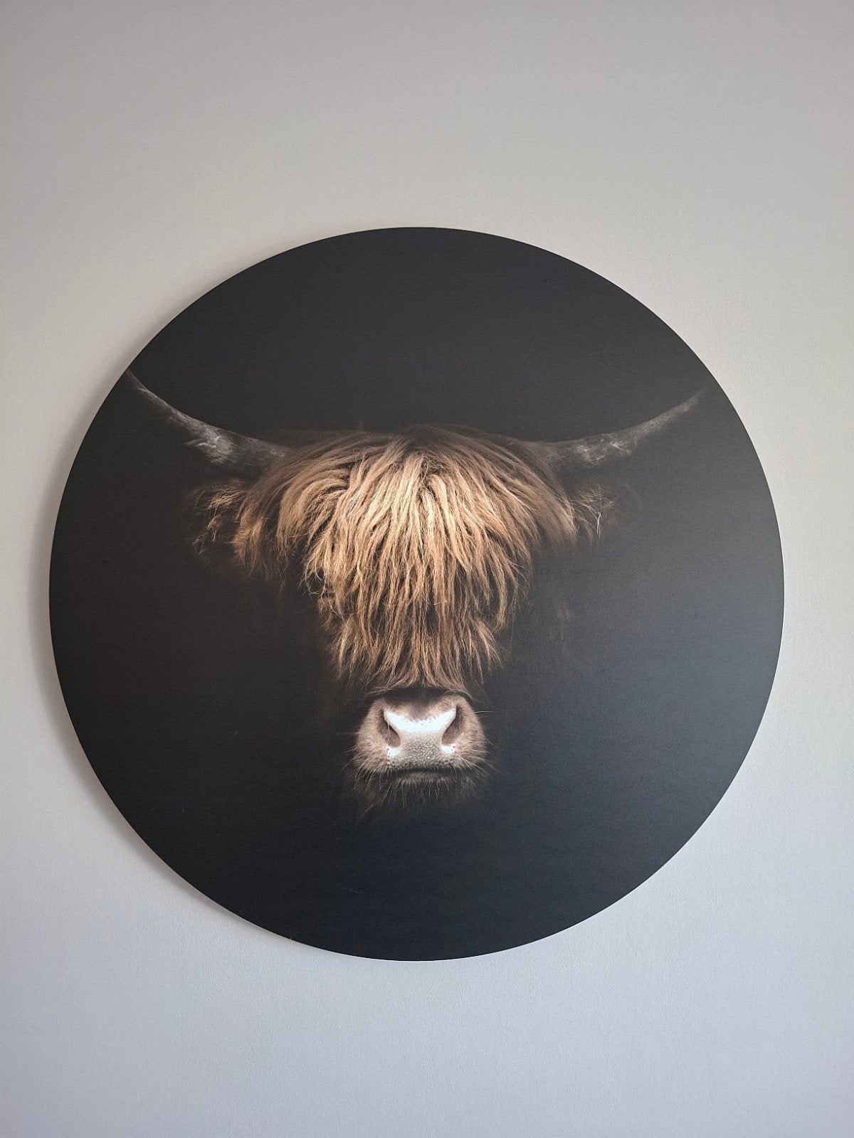 Wandcirkel Schotse Hooglander - Modern design, Ophalen, Meerkleurig, Zo goed als nieuw, Wandcirkel