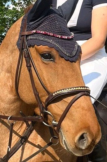 Hoofdstel maat cob, Dieren en Toebehoren, Paarden en Pony's | Hoofdstellen en Tuigage, Bruin, Recreatie, Harry's Horse, Ophalen of Verzenden