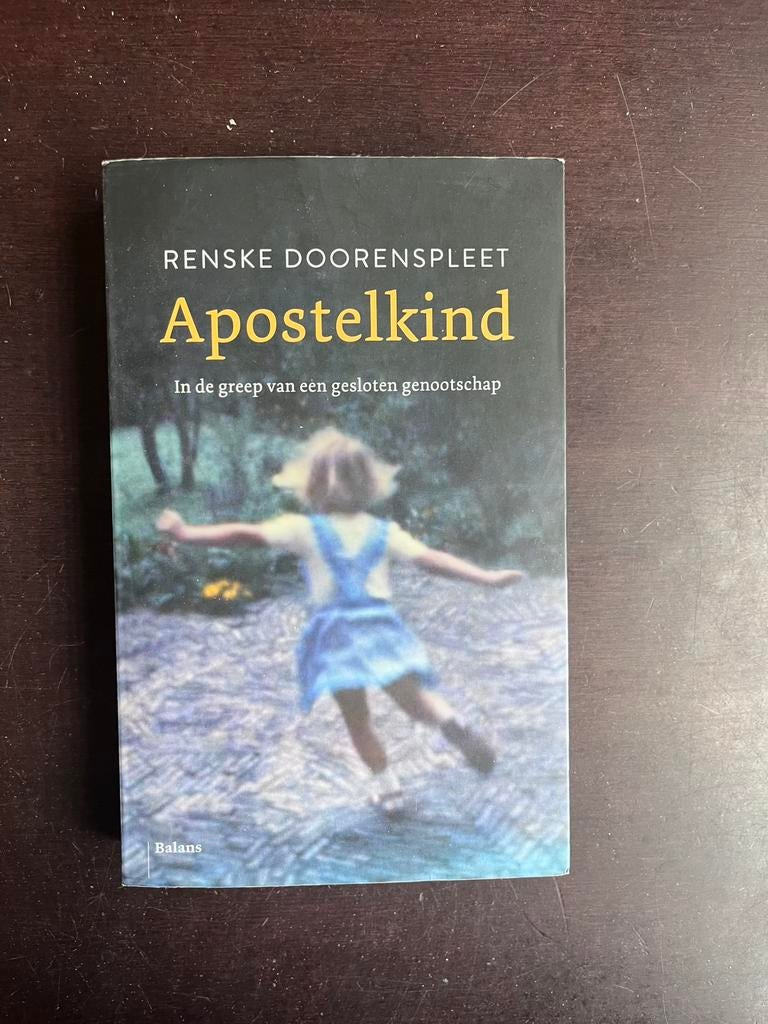 Renske Doorenspleet - Apostelkind, Gelezen, Ophalen of Verzenden, Renske Doorenspleet, Nederland