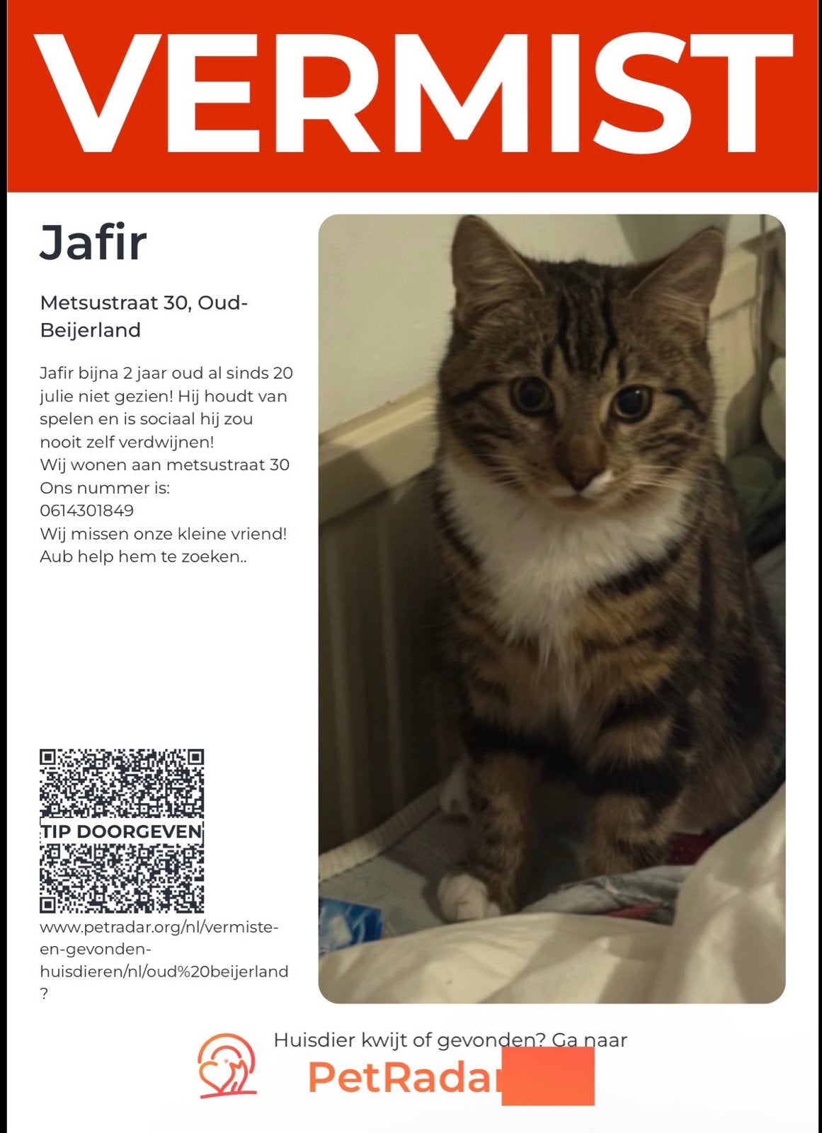 Kat vermist!, Kat