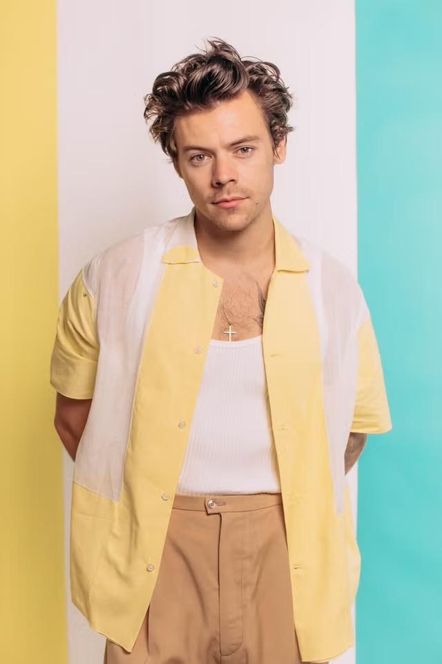 Harry Styles 22 mei 2026 REAR GA, Eén persoon, Mei