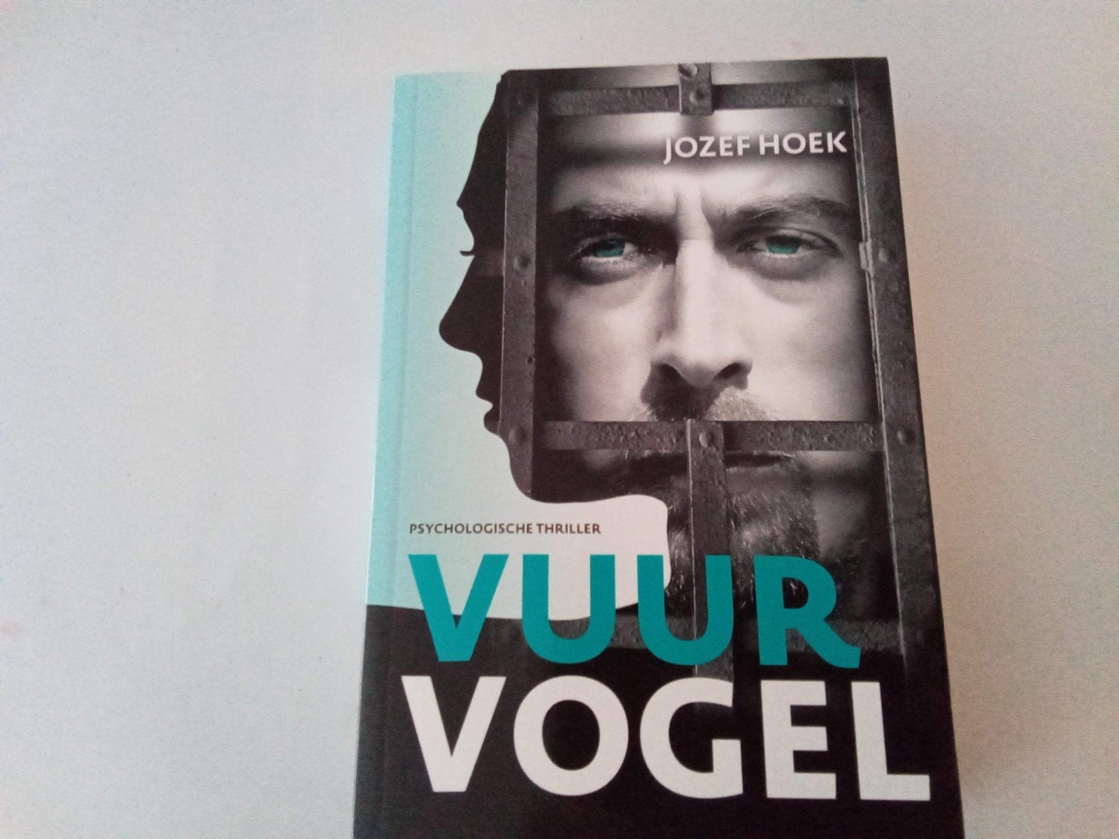 Vuurvogel ( Jozef Hoek ( Psychologische thriller, Ophalen of Verzenden, Zo goed als nieuw