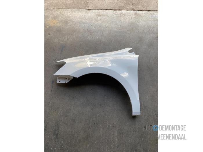 Scherm links-voor van een Volkswagen Polo (LB9A), -, Volkswagen, -, Nieuw