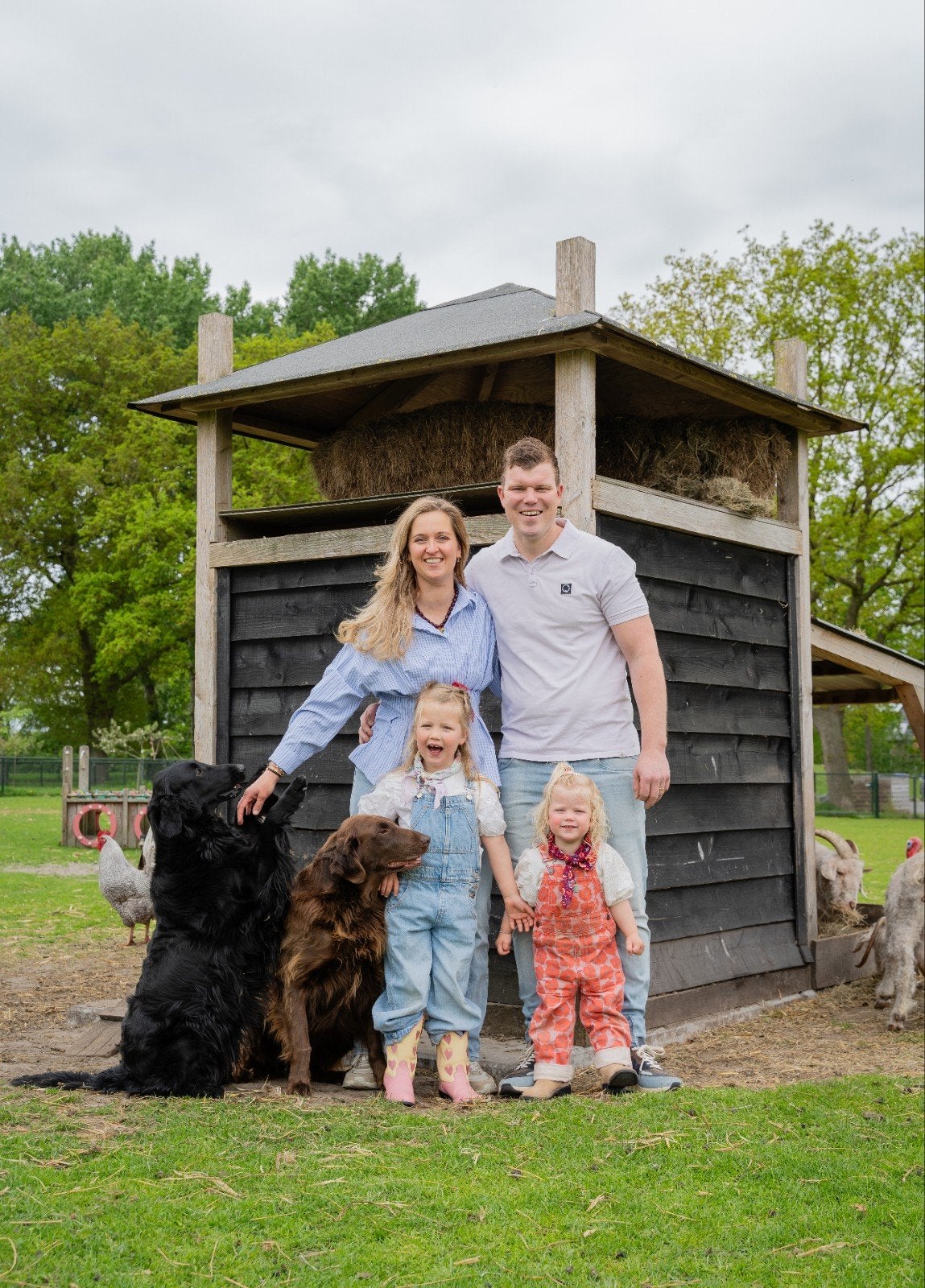 Flatcoated retriever nestje  verwacht okt '26, Overige rassen, 8 tot 15 weken, Geslacht onbekend, Eén hond