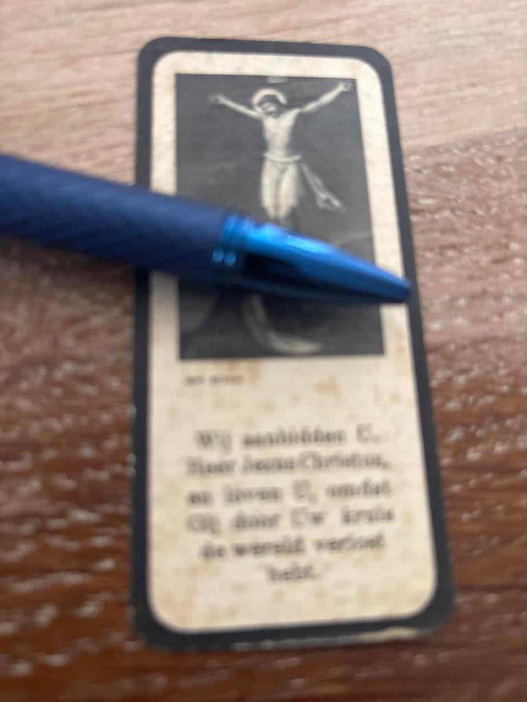 Havekes Alberdina 1900 Apeldoorn 1932 Loenen x Hafkamp, Ophalen of Verzenden, Bidprentje