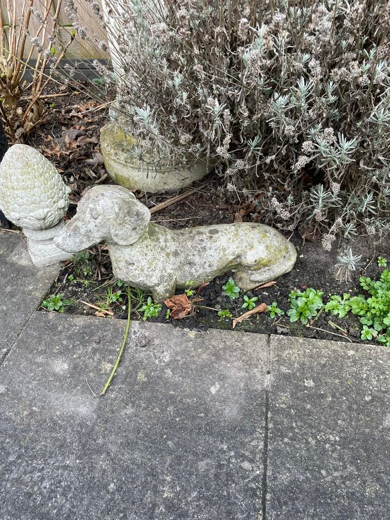 Leuke Betonnen teckel, tuinbeeld, Tuin en Terras, Tuinbeelden, Ophalen, Gebruikt, Dierenbeeld