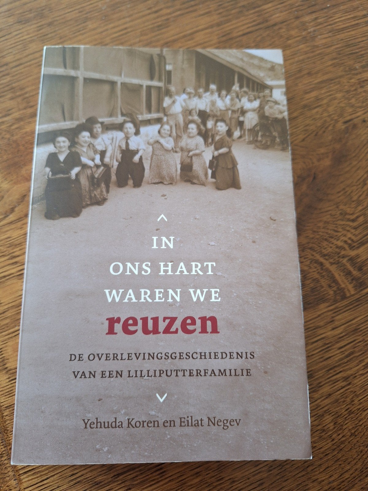 Y. Koren - In ons hart waren we reuzen, Boeken, Gelezen, Ophalen of Verzenden, Y. Koren; E. Negev, Sport