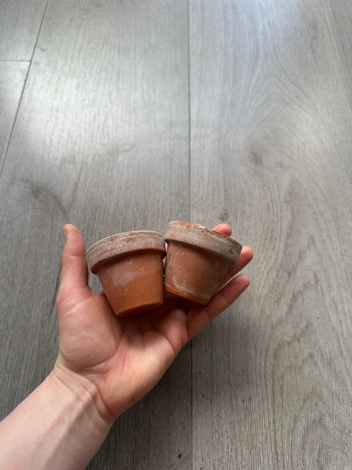 2 terracotta plantenpotjes, Ophalen, Rond, Zo goed als nieuw, Balkon