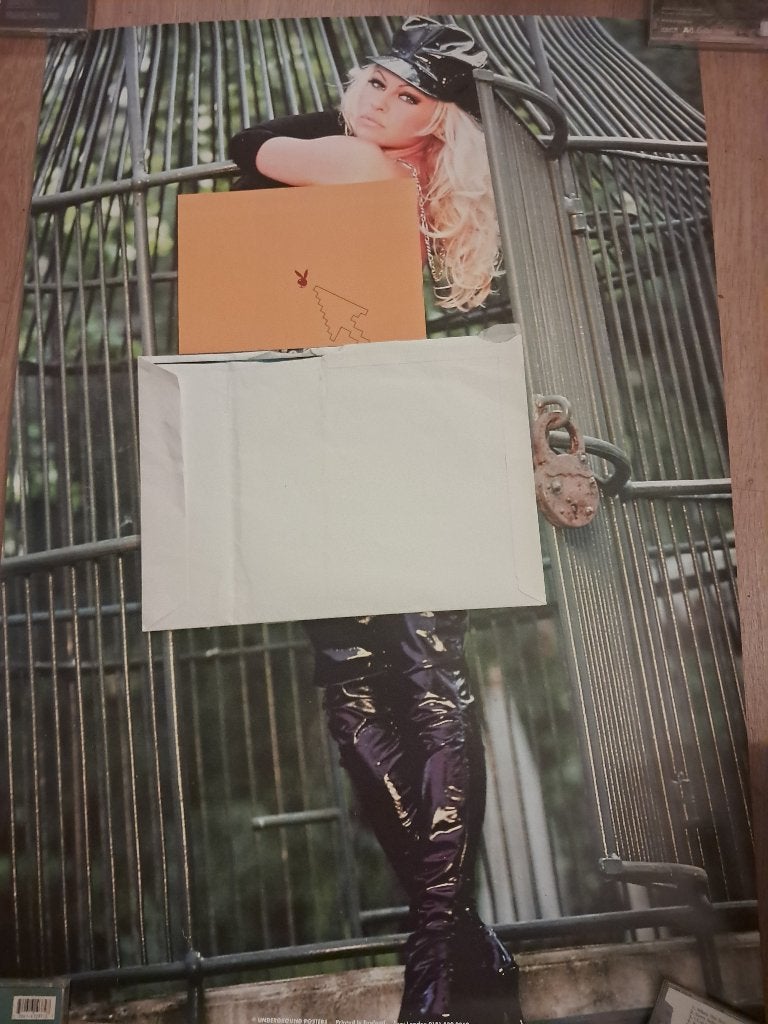 Posters pamela anderson te koop ophalen in utrecht, Ophalen, Nieuw, A1 t/m A3