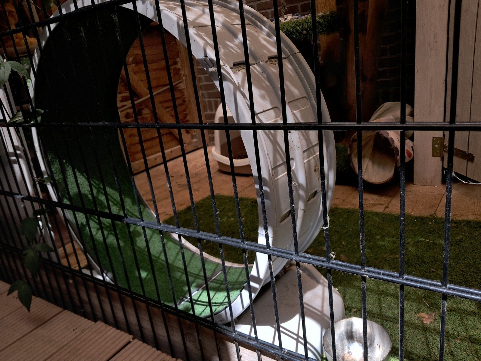 Katten loop wiel, Ophalen of Verzenden
