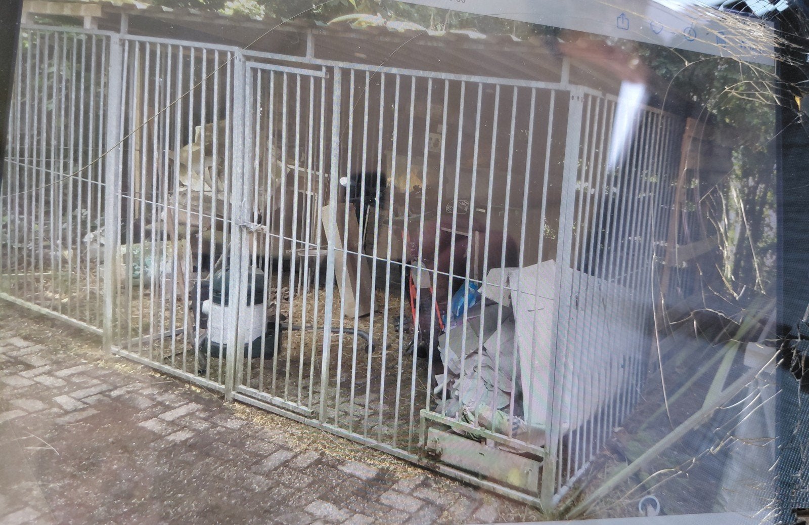 Honden kennel 1 x 7x3m 1 x 5x3m, Ophalen, Hondenkennel, 100 cm of meer, 110 cm of meer