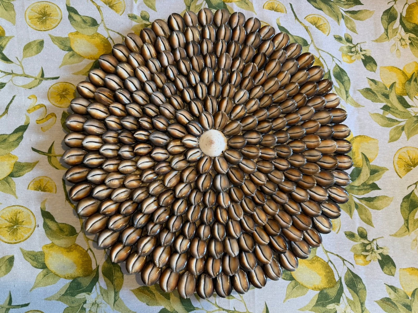 Schitterende schelp wand hanger decoratie bruin kauri Bali, Ophalen, Zo goed als nieuw