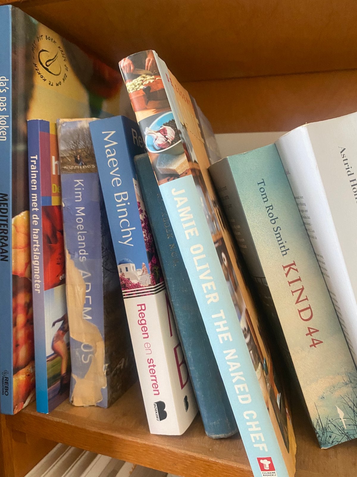 Grote partij boeken ca 70 – romans, thrillers, biografieën, Ophalen, Gelezen