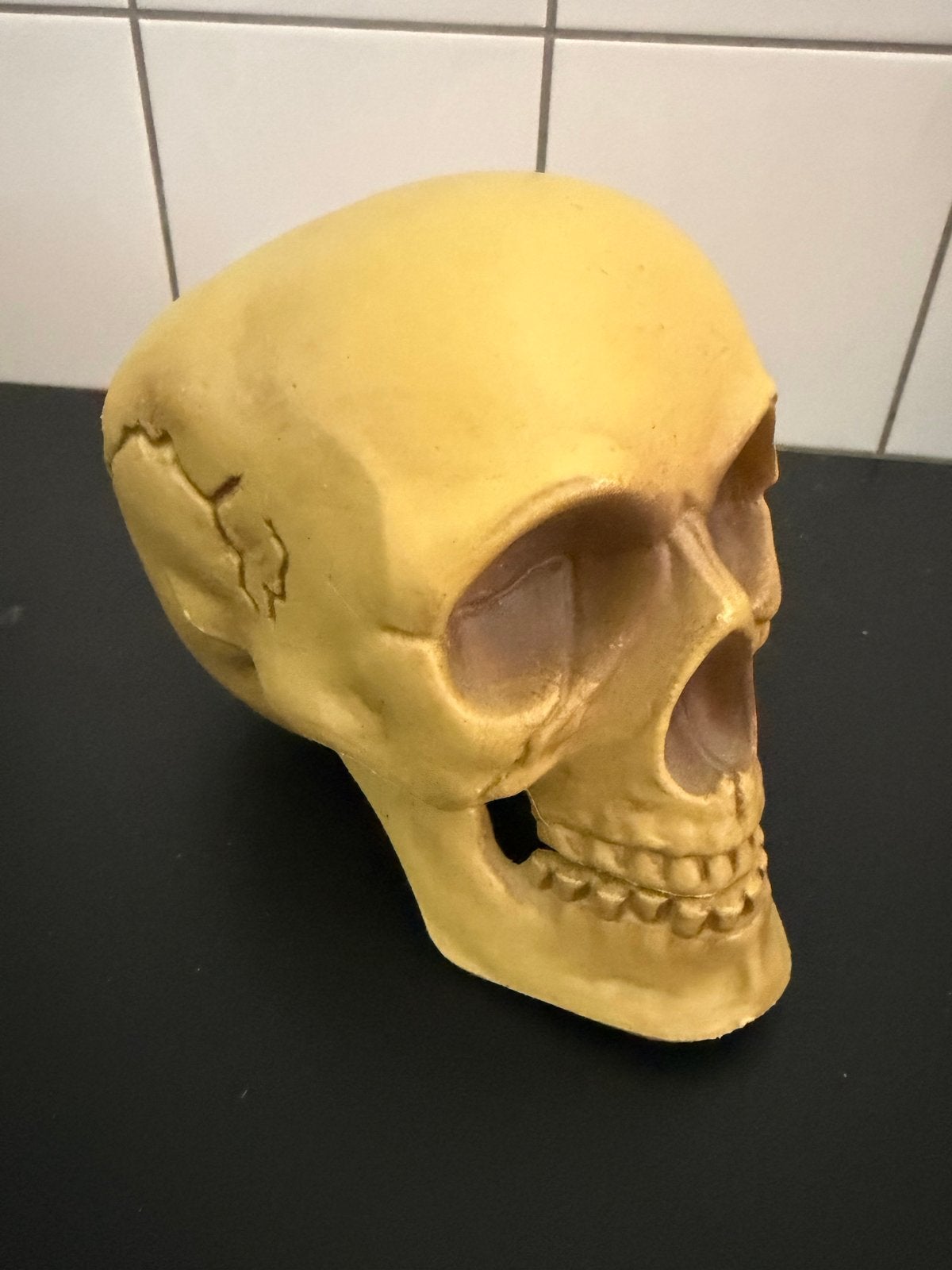 Halloween schedel - Realistisch model, Ophalen of Verzenden, Zo goed als nieuw, Feestartikel, Halloween of Griezel