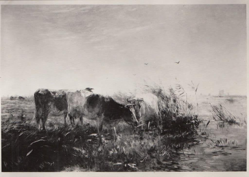 Matthijs Maris Koeien aan de waterkant persfoto, Ophalen of Verzenden, Foto, Fotografie