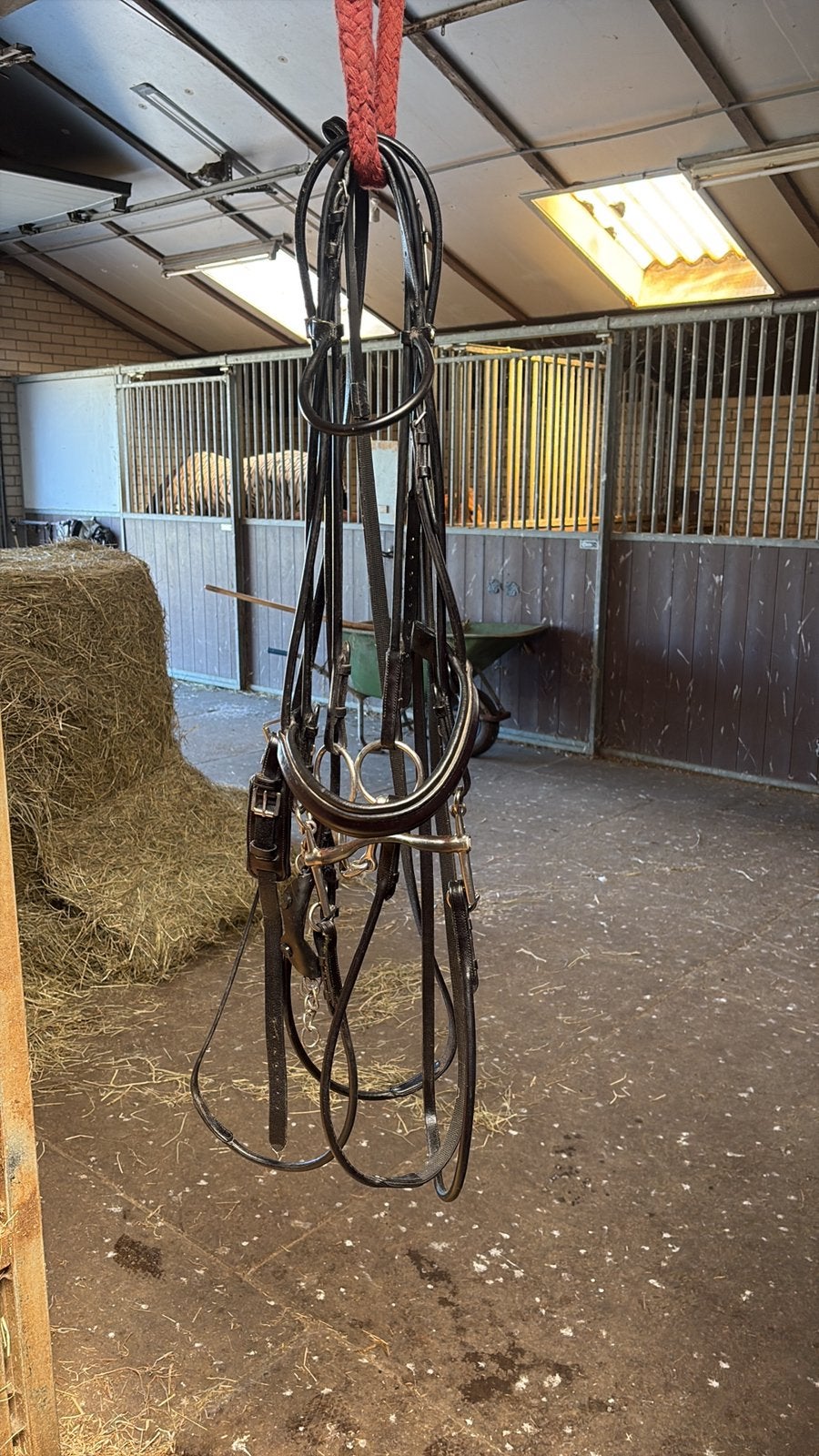 Hoofdstel stang & trens, Ophalen, Hoofdstel, Inclusief bit, Rossner