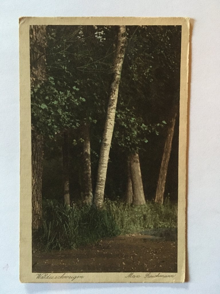 Prentbrief/ ansichtkaart, Duitsland, Waldesschweigen,, Ophalen of Verzenden, Voor 1920, Ongelopen, Duitsland