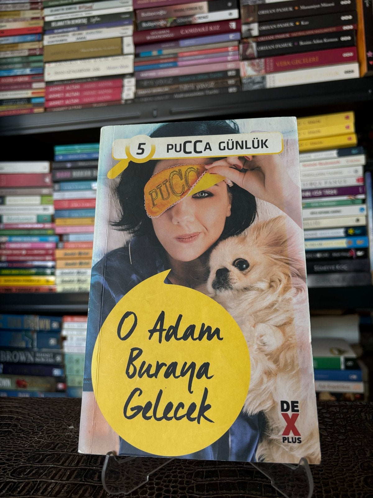 Pucca Günlük 5: O Adam Buraya Gelecek - Turkse Roman, Ophalen of Verzenden, Gelezen, Wereld overig