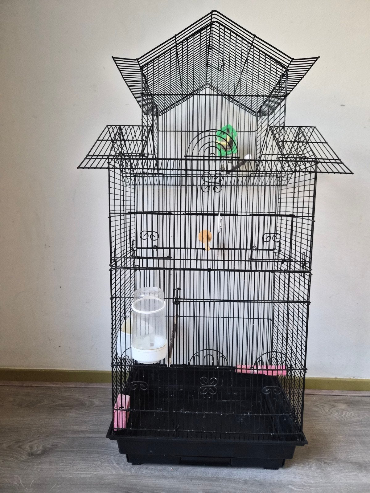 Tekoop vogel kooi en toebehoren, Ophalen, Metaal, Vogelkooi