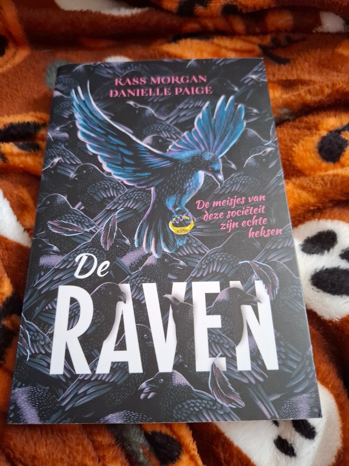 De raven, Ophalen of Verzenden, Kass Morgan