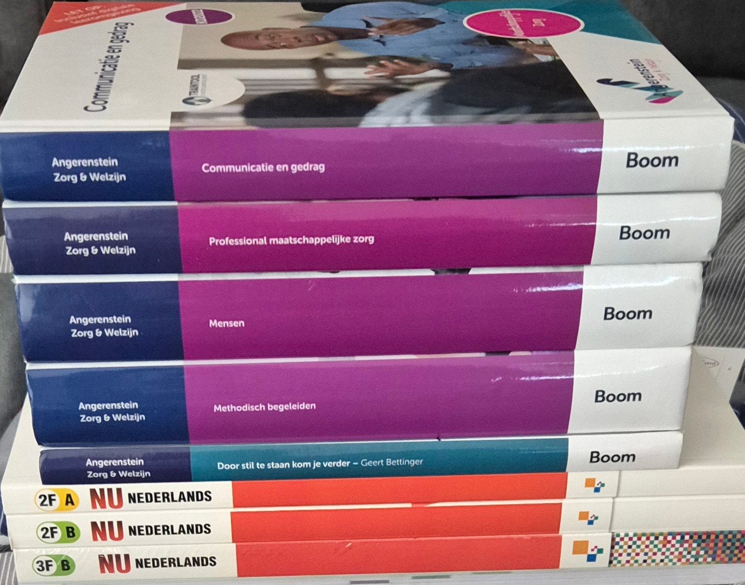 Studieboeken MBO Begeleider Maatschappelijke Zorg, Angerenstein, Geert Bettinger, Noordhoff, Ophalen of Verzenden, Zo goed als nieuw