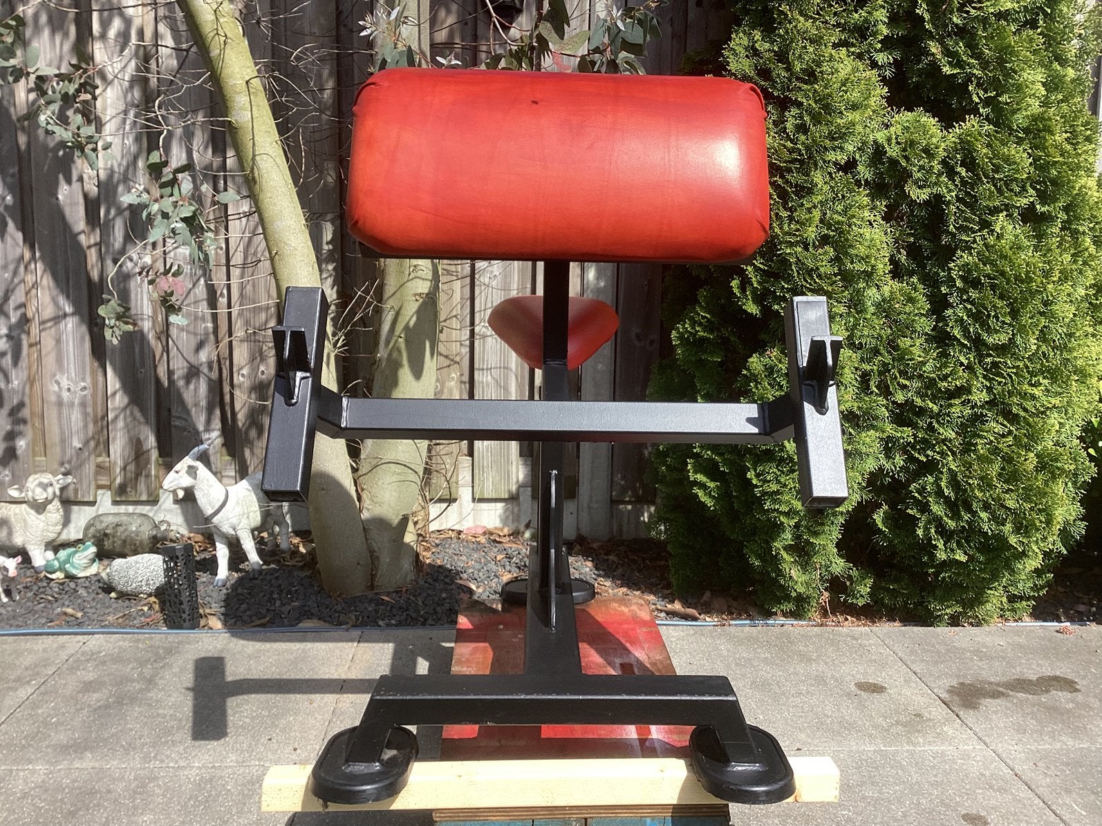 Panatta preacher curl, Sport en Fitness, Ophalen, Gebruikt