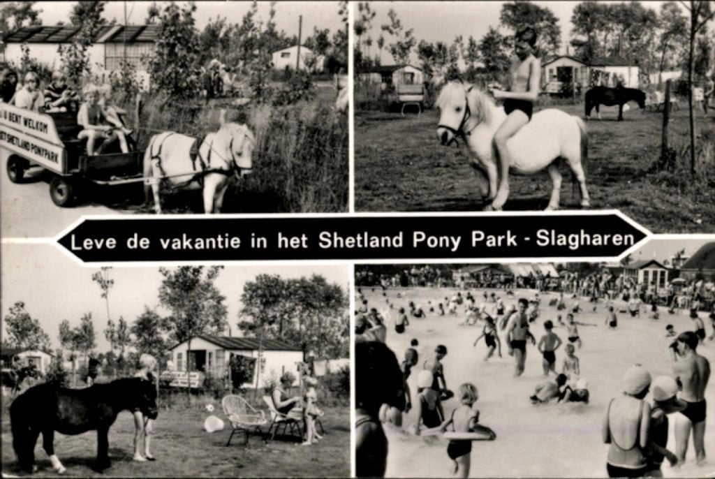 Slagharen KVR03 106 4 Foto's v Pony Park Slagharen, Shetland, Verzenden, 1980 tot heden, Gelopen, Overijssel