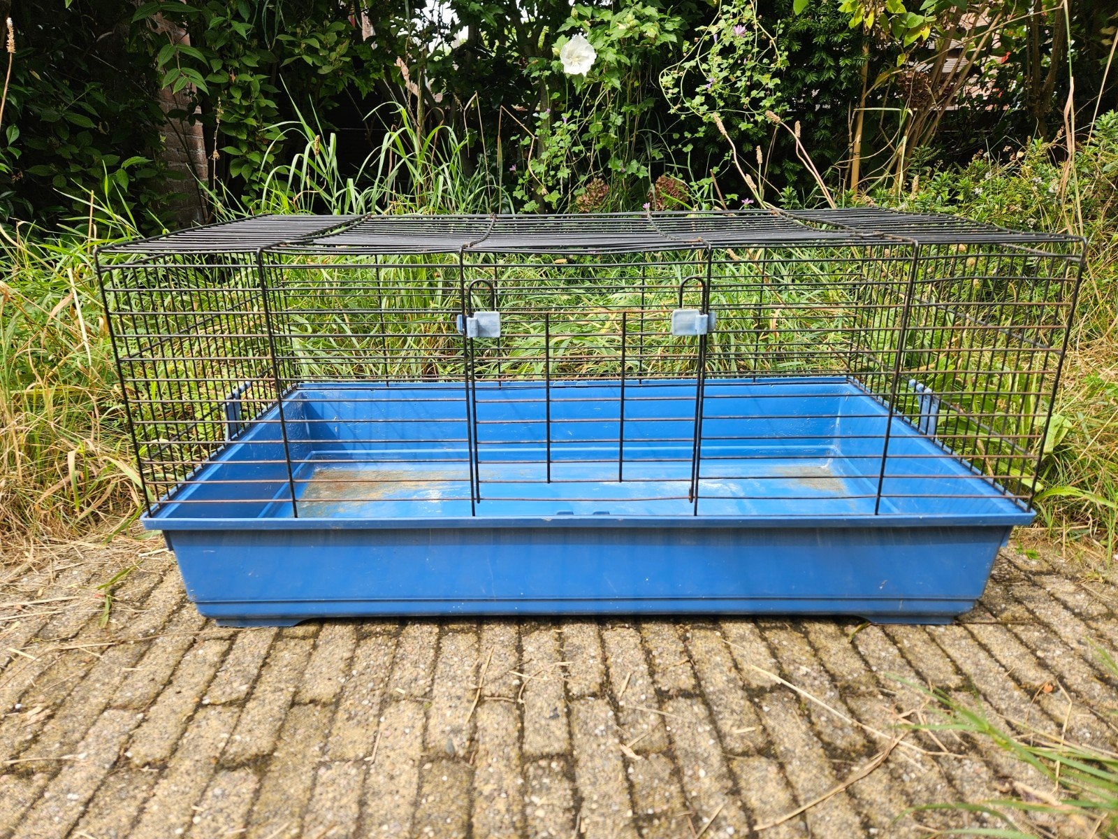 Gratis Kooi voor hamster, konijn of cavia - moet snel weg, Kooi, Minder dan 75 cm, Ophalen, Minder dan 60 cm