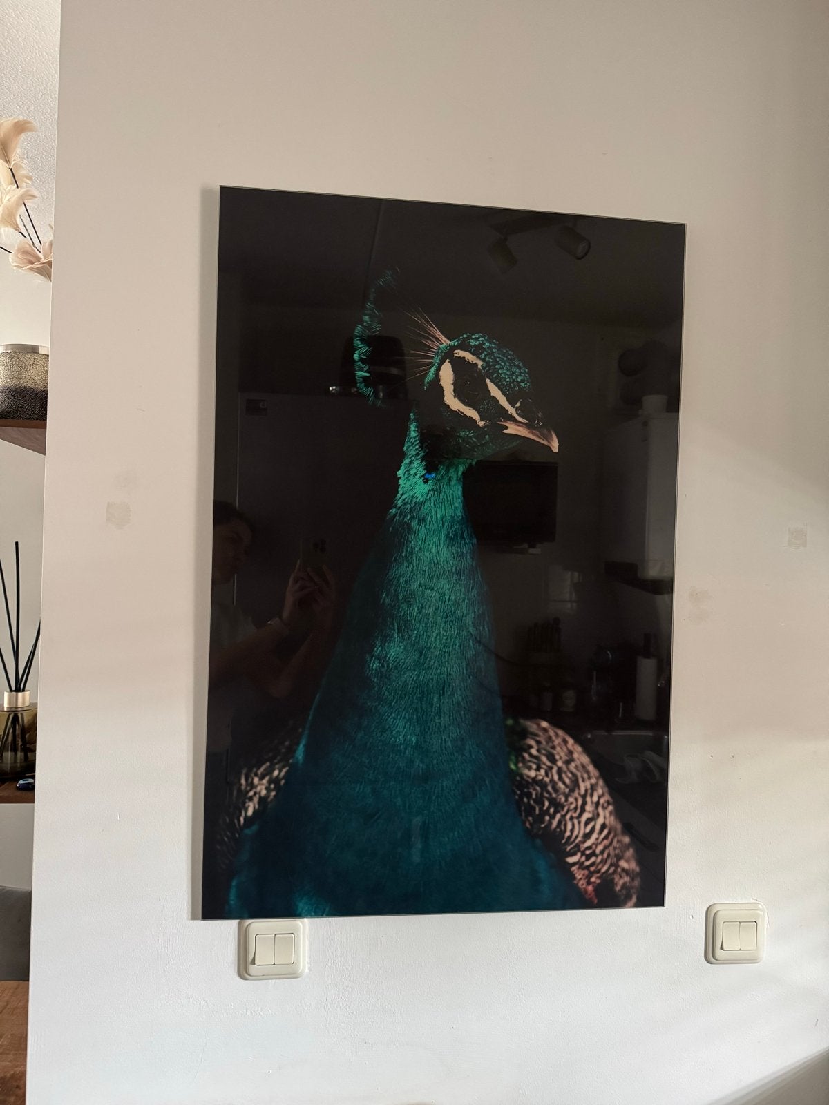 Plexiglas Pauw Schilderij - 90x60 cm, Ophalen, Kunststof, Print, Dieren