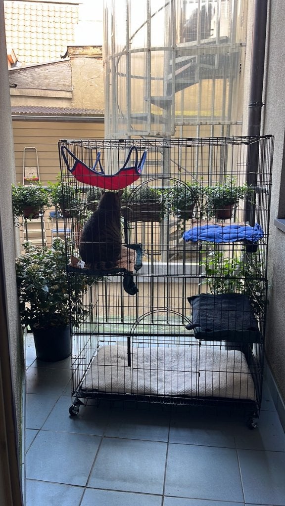 Opvouwbare katten-/hondenkooi (super handig!), Ophalen, Zo goed als nieuw, Metaal, Overige typen
